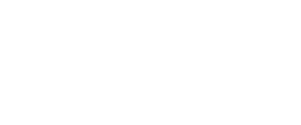 Serium Digital Logo